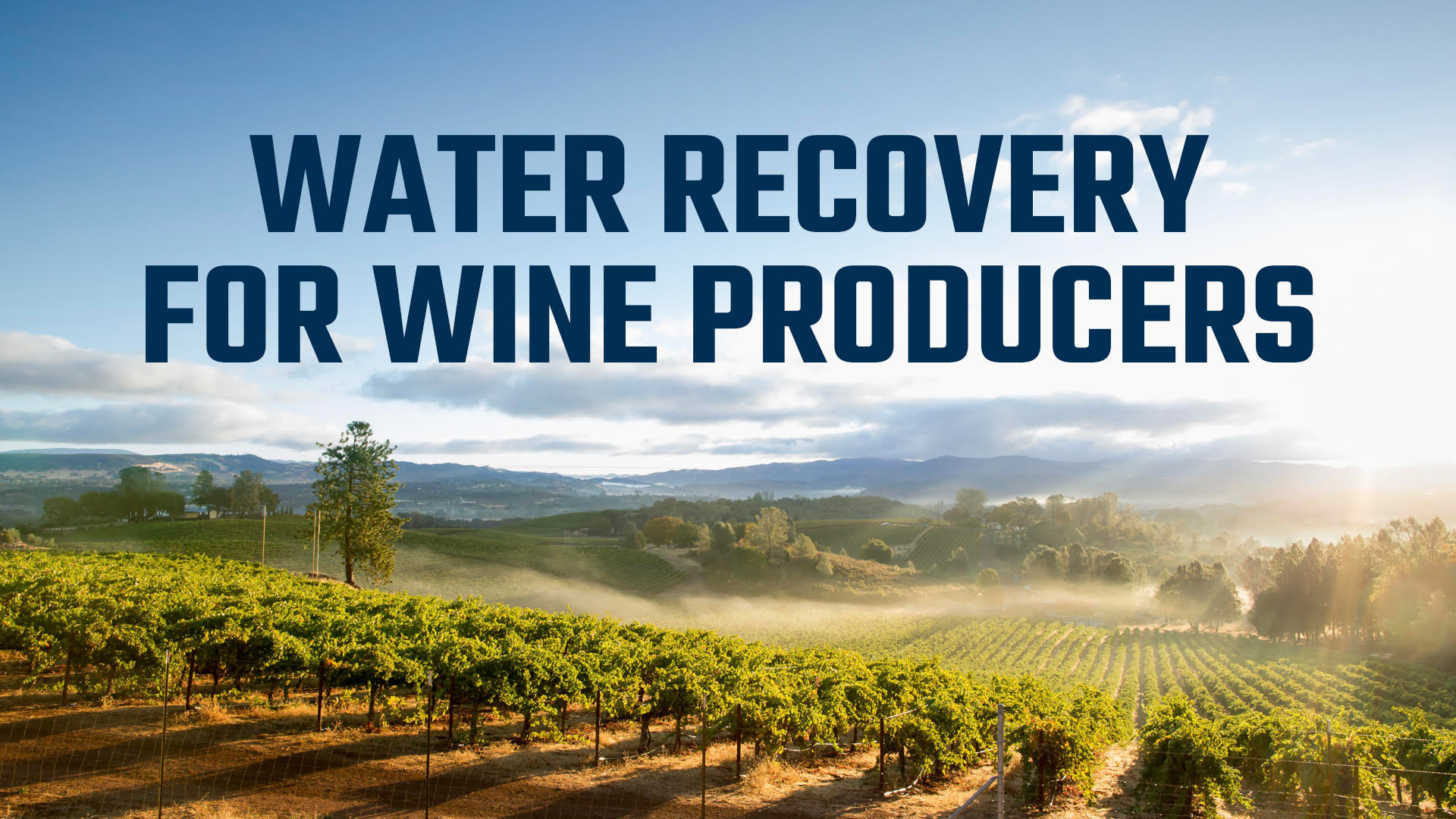 water recovery banner